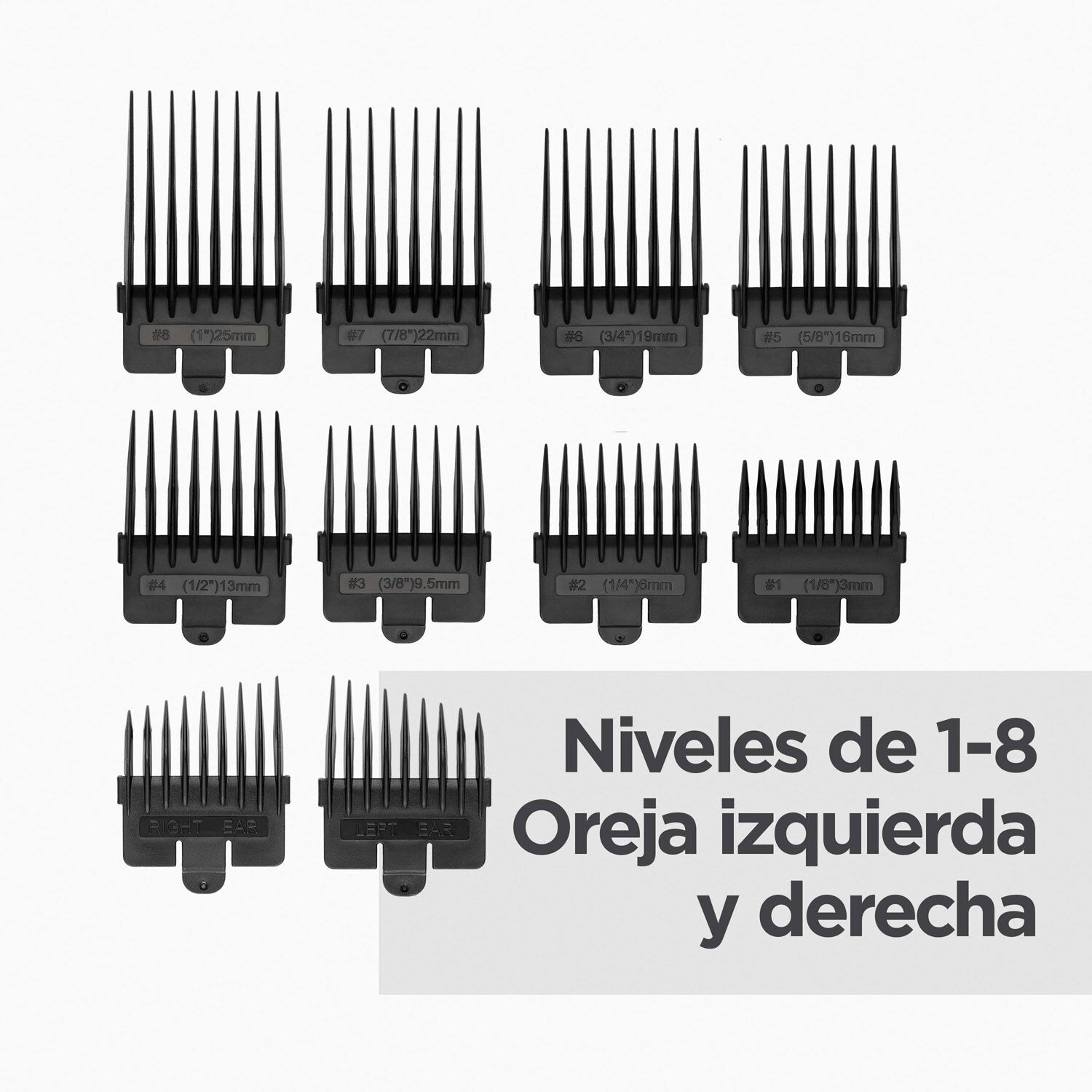 Niveles de 1-8,  Oreja izquierda y derecha 